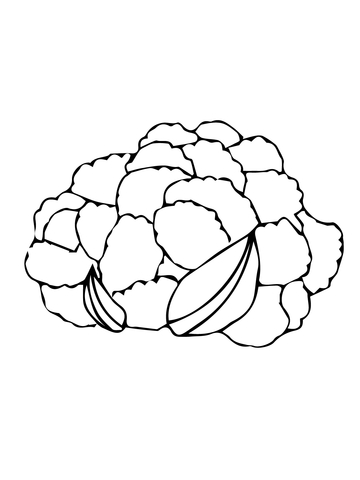 Cauliflower Head Coloring Page